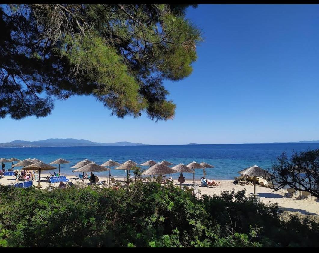Bs Village Metamorfosi (Sithonia) Exterior foto